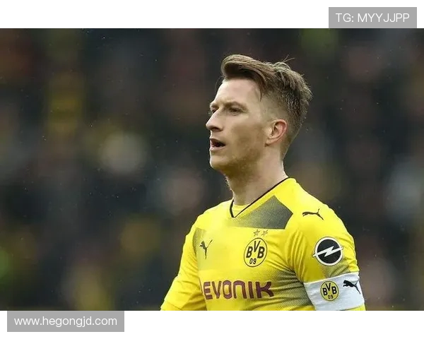 多特蒙德迎战帕德伯恩全力争胜展现球队实力与战术魅力